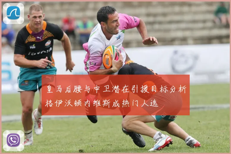 皇马后腰与中卫潜在引援目标分析格伊沃顿内维斯成热门人选